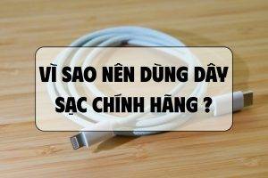 day-sac-iphone-chinh-hang-hoa-vang